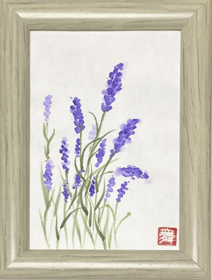 ラベンダー