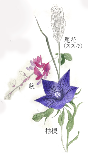 秋の七草編3の12