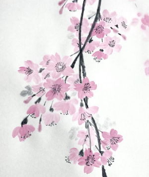 枝垂れ桜